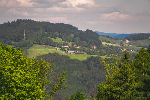 Zdjęcie z Leo Fahrngruber wzdłuż trasy