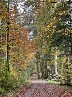 Foto von Denise Miller entlang der Tour