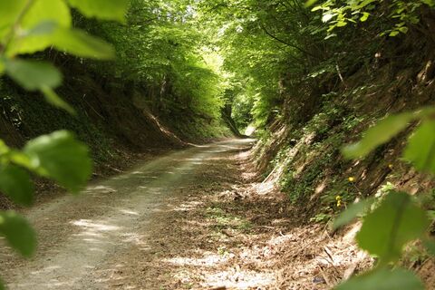 Hohlweg