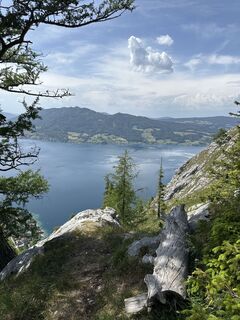 Foto von Ali Wafaii entlang der Tour