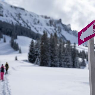 Der signalisierte Schneeschuh-Trail Gampergalt