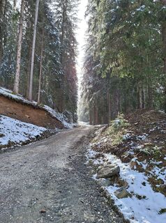 Foto da Dagmar Hofer lungo il tour