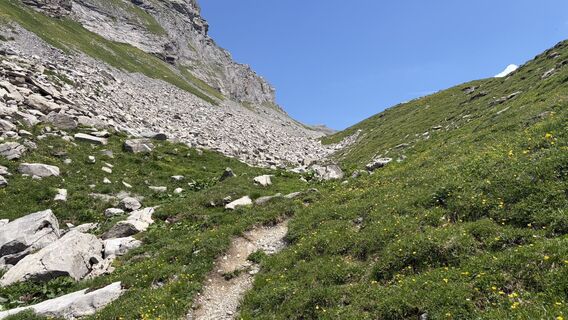 Fotografija s spletne strani Boris Schickedanz na poti