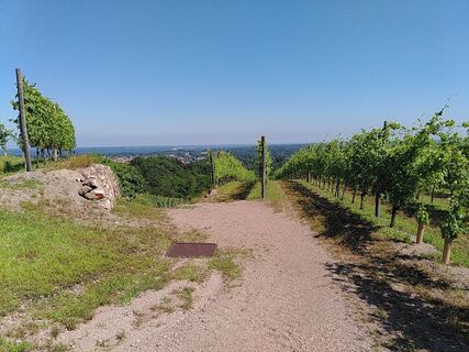 Photo de Suse Grass le long du parcours