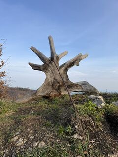 Foto de Berg Noar a lo largo del recorrido