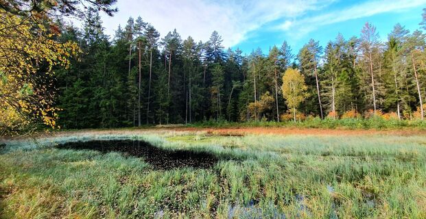 Moore und Teiche in Naturschutzgebieten
