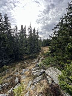 Photo de Georg B. Meier le long du parcours