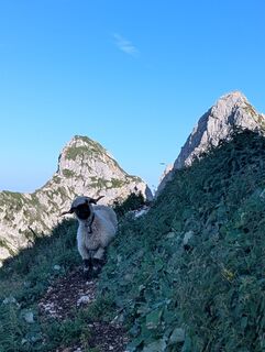 Foto von Julian Lewisch entlang der Tour