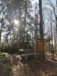 Foto von Wanderfux entlang der Tour