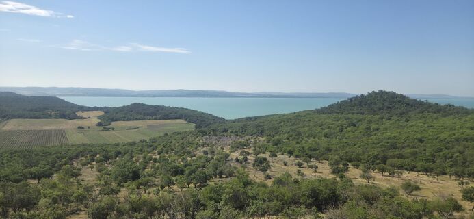 Photo de Darija Forgač le long du parcours