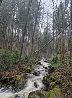 Zdjęcie z Hubert Martin wzdłuż trasy