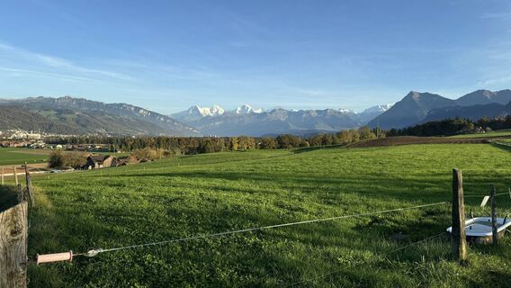 Фото с сайта peter_oe во время экскурсии