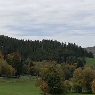 Blick zur Schanze an Nordic Walking Trail "Berggarten-Stöhr" Brotterode