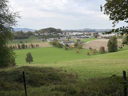 Photo de Martin Sicher le long du parcours