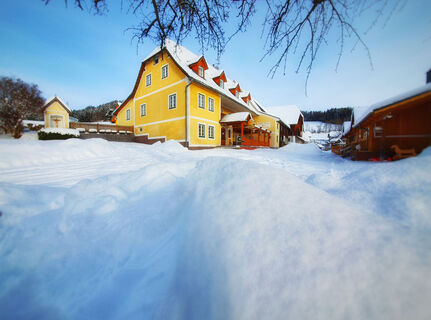 Gasthof-Pension Geier