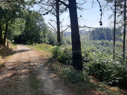 Foto von Niek Abbes entlang der Tour