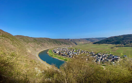 Zemljevid