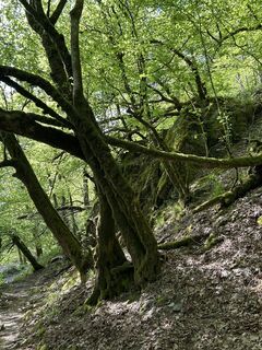 Foto von Robert Christiaans entlang der Tour