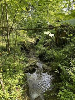 Fotografia z Cyrill Bischof na trase