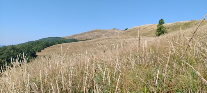 Fotografija s spletne strani Sylwiasuchy76 na poti