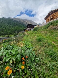 Photo de Mario Eylers le long du parcours