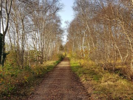 Dänikhorster Moor