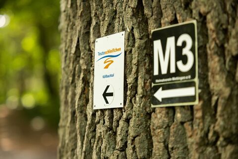 Wegweiser auf der Naturtour