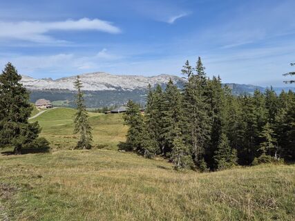 Photo de Thomi W le long du parcours