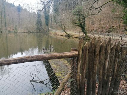 Fotografia z luyyy na trase