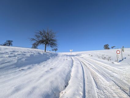 Photo de Stefan Bock le long du parcours