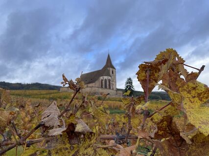 Photo de Francis Ebert le long du parcours