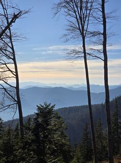 Foto von TwilightTea entlang der Tour