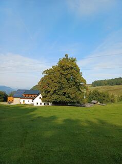 Foto von Tom Theuer entlang der Tour