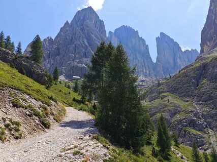 Fotografija s spletne strani Lodovica Vecchi na poti