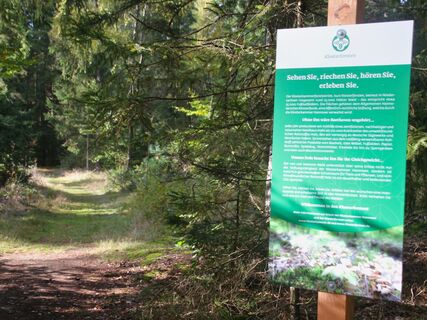 Infotafel am Waldweg im Lüßwald bei Hösseringen