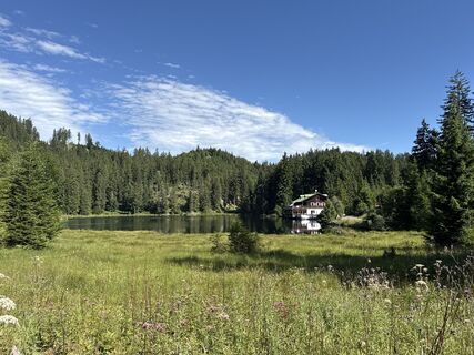 Foto von Grizzli entlang der Tour