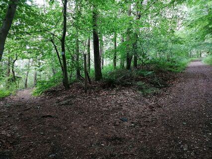 Wegführung nach links zum schmalen Pfad des Schmetterlingspfads (vom Taubental her kommend)