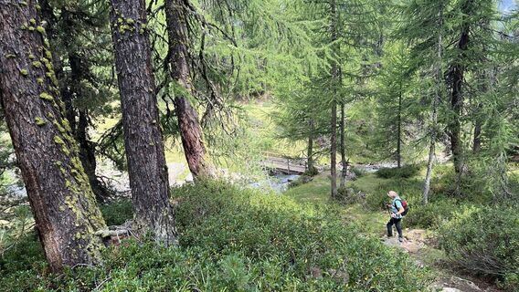Foto von Pezzotta entlang der Tour