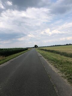 Feldweg am Maisfeld