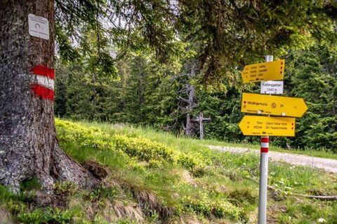 Am Kaiblingsattel rechts Richtung Lahngang