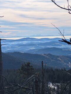 Foto från Stubi under resans gång