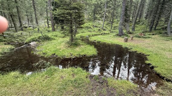 Foto von Daniel Härtel entlang der Tour