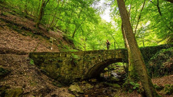 Brücke im Morgenbachtal