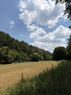 Photo de Máté Ádám Schultheisz le long du parcours