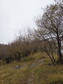 Fotografie z Aner na trase