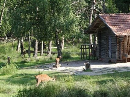 Beim Wildgehege in Kapfenhardt gibt es immer etwas zu sehen.