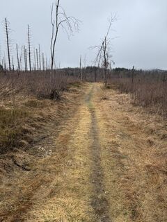Photo de Ronald Bartel le long du parcours
