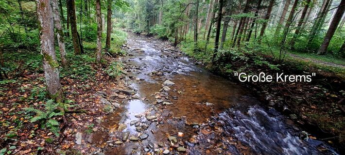 Foto von zirberl entlang der Tour
