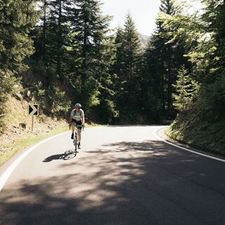 Die Straße zum Passo San Marco verläuft im Wald bis etwa 1.700 m Höhe