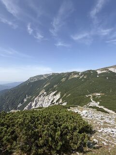 Fotografija s spletne strani Nico ?️ na poti